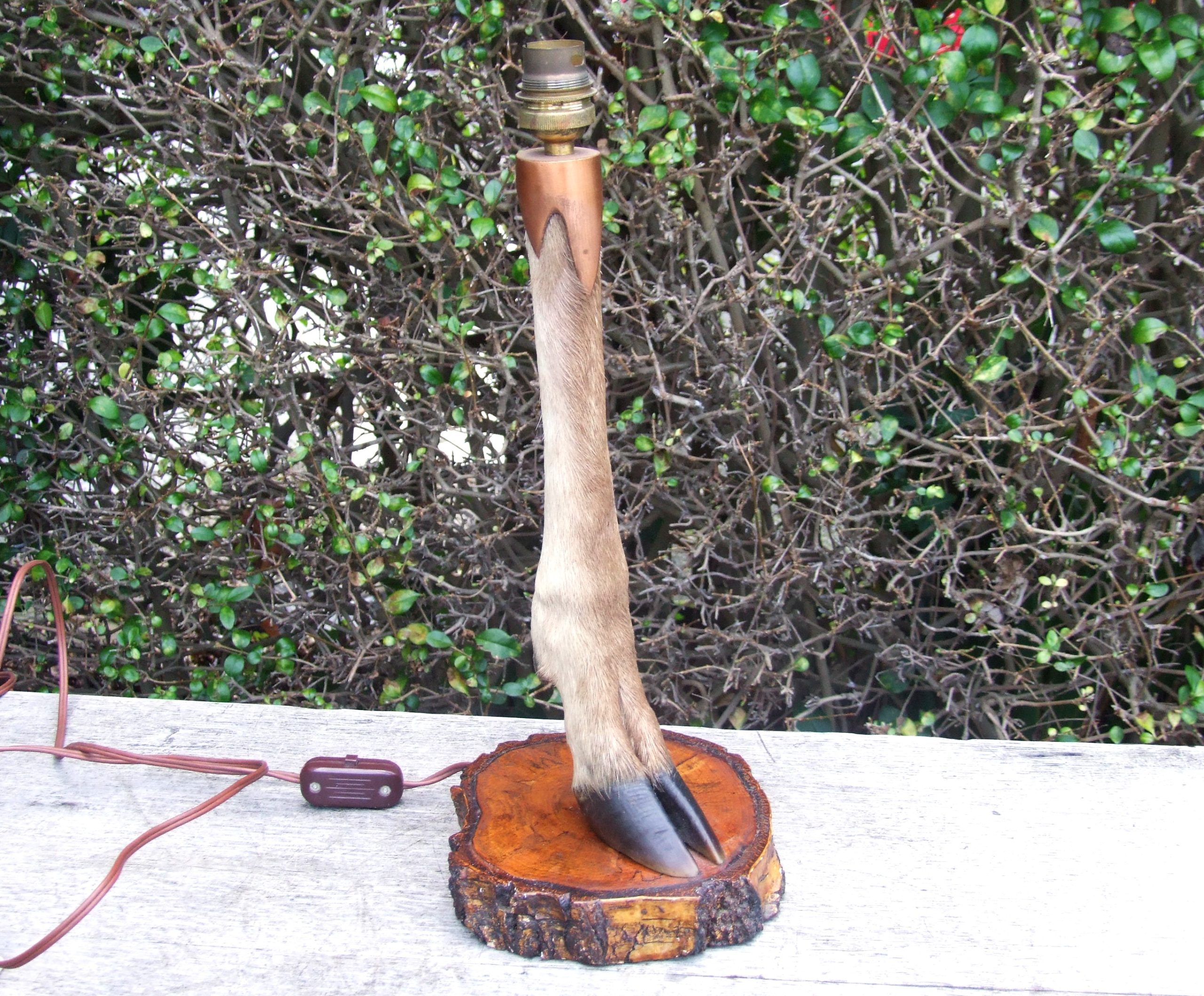 Deer Leg Lamp