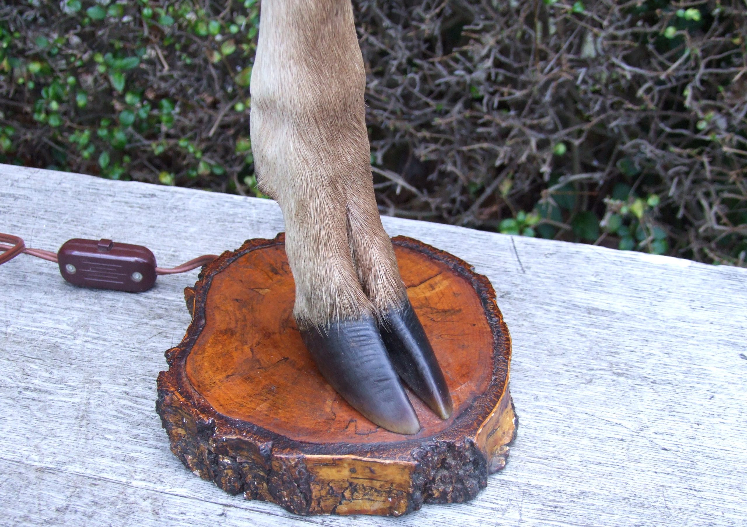 Deer Leg Lamp - Image 2