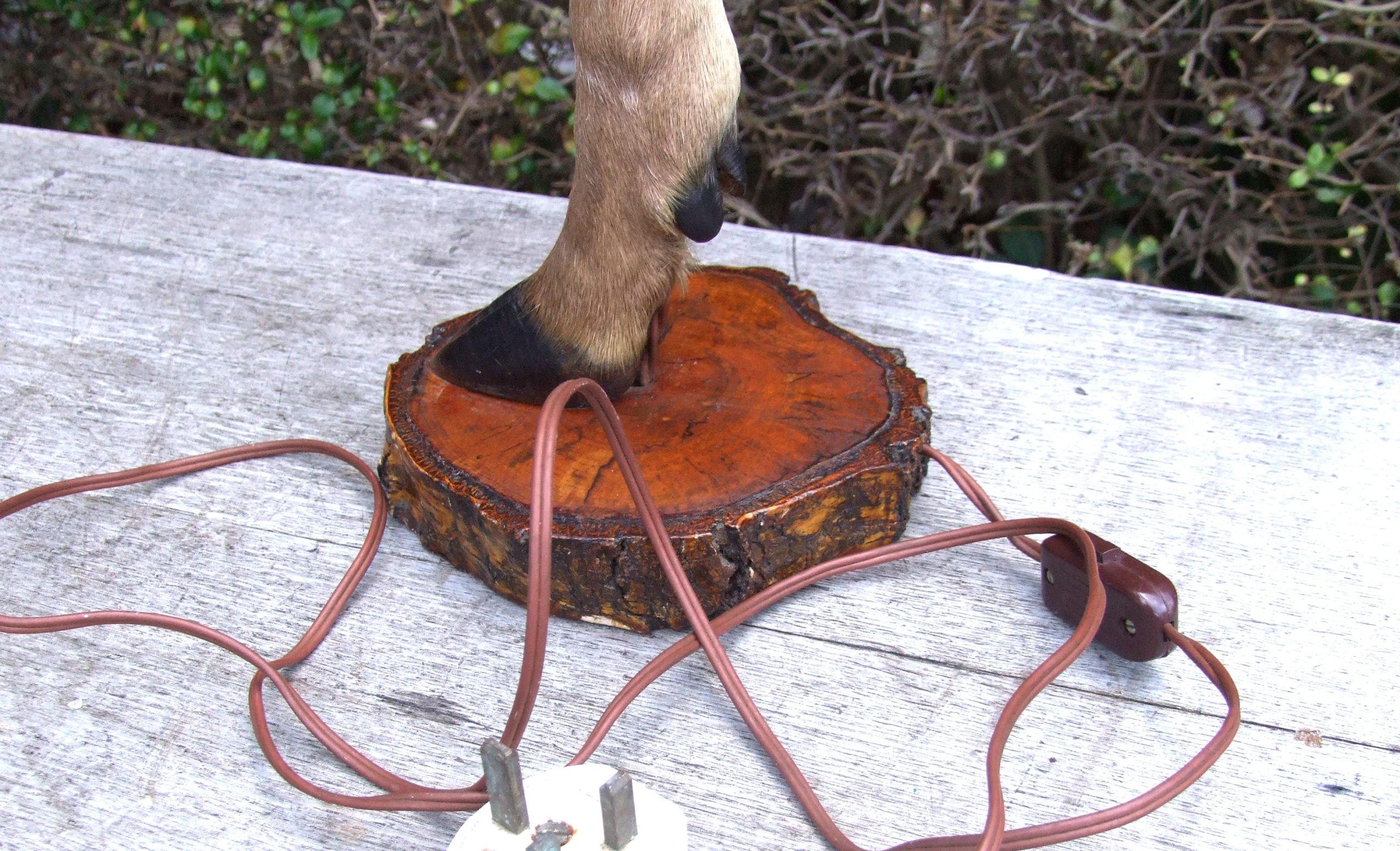Deer Leg Lamp - Image 4