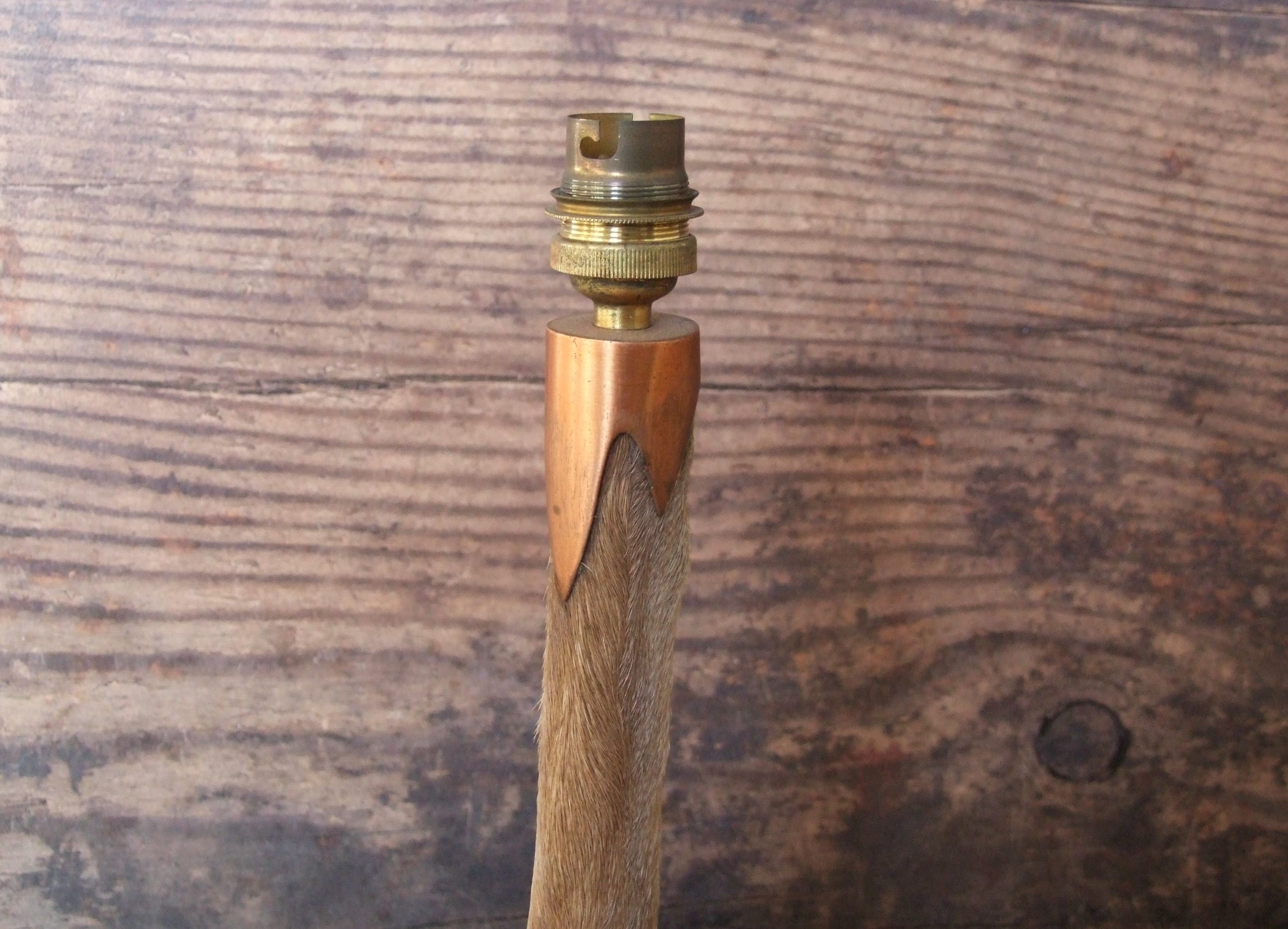 Deer Leg Lamp - Image 5