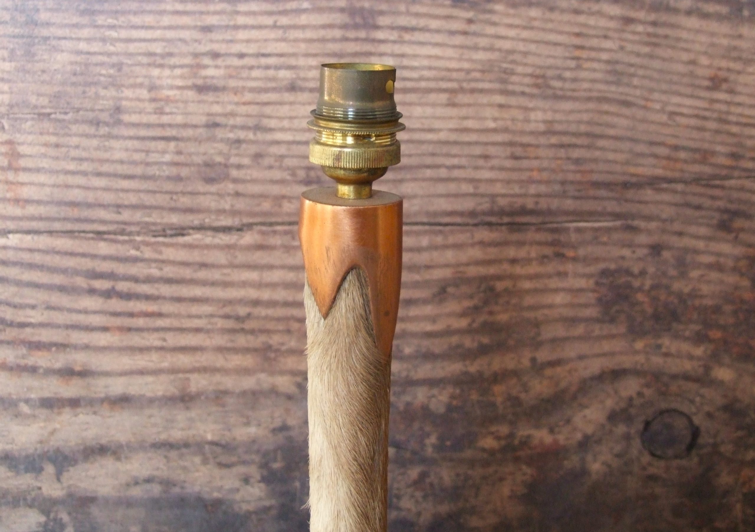 Deer Leg Lamp - Image 6