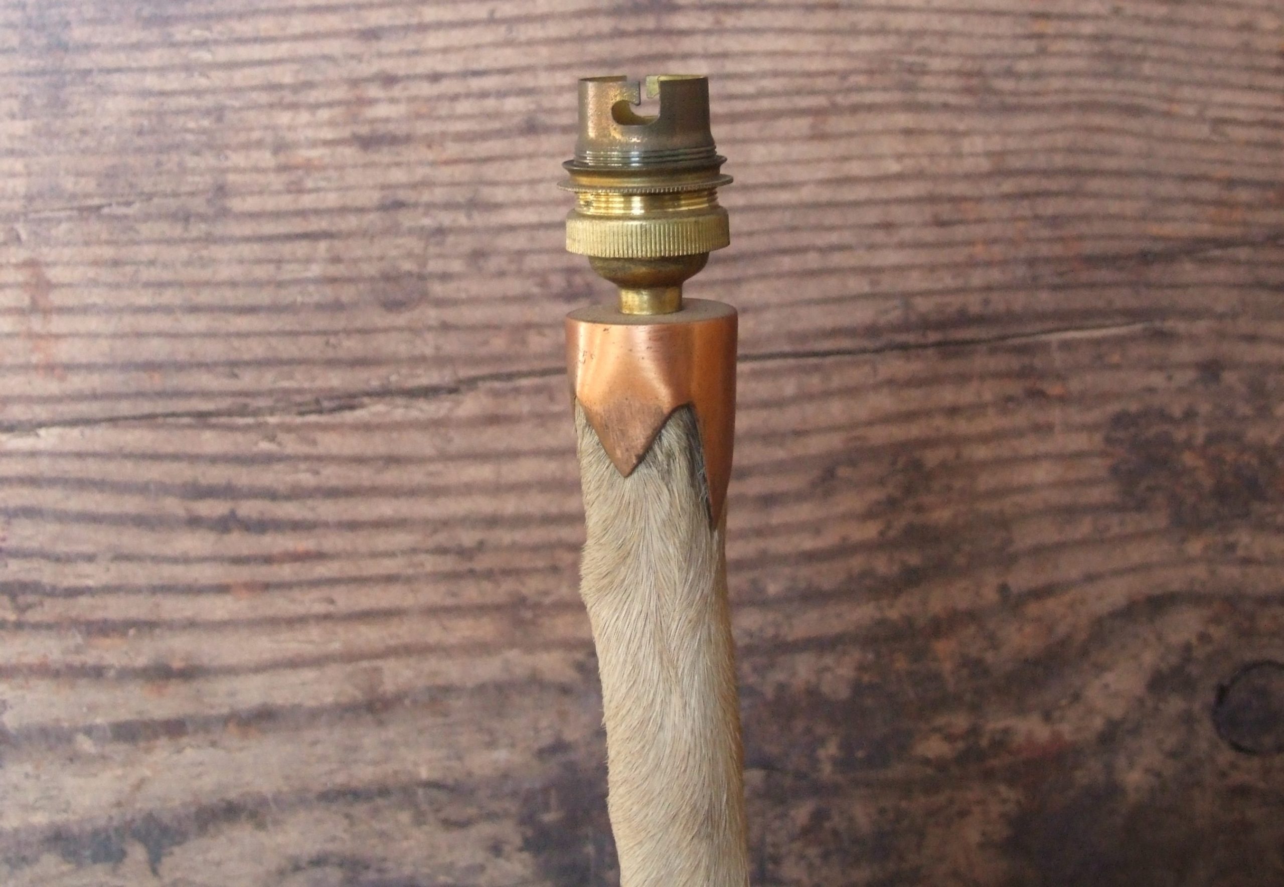 Deer Leg Lamp - Image 7